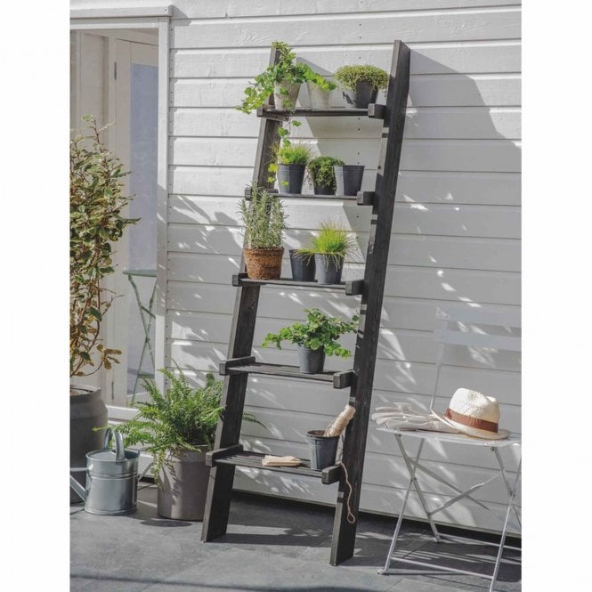 Garden Trading Moreton Ladder - Spruce