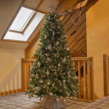 6ft North Valley Spruce Tree With 400 Warm White LED's