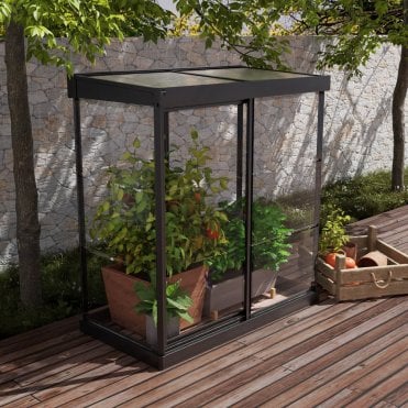 Ivy Mini Greenhouse 4X2