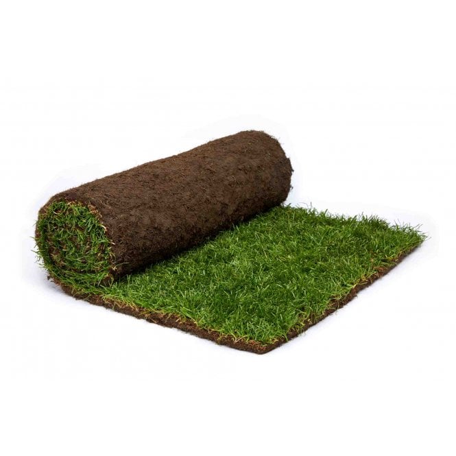 Rolawn Medallion® Turf - 1m² Roll - Choose Your Amount
